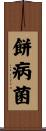 餅病菌 Scroll