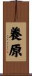 養原 Scroll