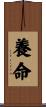 養命 Scroll