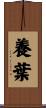 養葉 Scroll