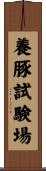 養豚試験場 Scroll