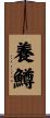 養鱒 Scroll