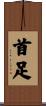 首足 Scroll