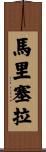 Maricela Scroll