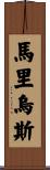 Marius Scroll