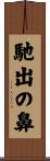 馳出の鼻 Scroll