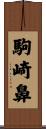 駒崎鼻 Scroll