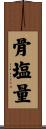 骨塩量 Scroll