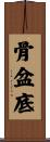骨盆底 Scroll