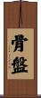 骨盤 Scroll