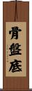 骨盤底 Scroll