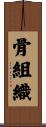 骨組織 Scroll