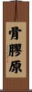 骨膠原 Scroll