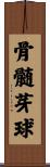 骨髄芽球 Scroll