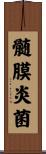 髄膜炎菌 Scroll