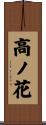 高ノ花 Scroll