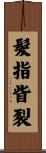 髮指眥裂 Scroll
