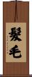 髮毛 Scroll