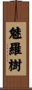 魅羅樹 Scroll