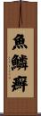魚鱗癬 Scroll