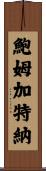 Baumgartner Scroll