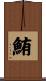 鮪 Scroll