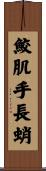 鮫肌手長蛸 Scroll