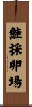 鮭採卵場 Scroll