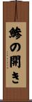 鯵の開き Scroll