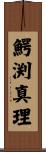 鰐渕真理 Scroll