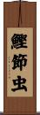 鰹節虫 Scroll