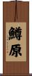 鱒原 Scroll