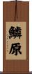 鱗原 Scroll