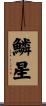 鱗星 Scroll
