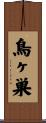 鳥ヶ巣 Scroll
