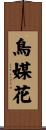 鳥媒花 Scroll