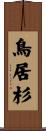 鳥居杉 Scroll