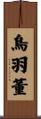 鳥羽董 Scroll