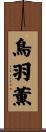 鳥羽薫 Scroll