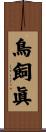 鳥飼眞 Scroll