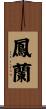 鳳蘭 Scroll