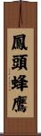 鳳頭蜂鷹 Scroll