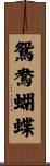 鴛鴦蝴蝶 Scroll