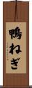 鴨ねぎ Scroll