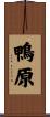 鴨原 Scroll