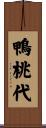 鴨桃代 Scroll