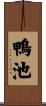 鴨池 Scroll