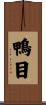 鴨目 Scroll