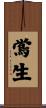 鴬生 Scroll