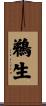 鵜生 Scroll